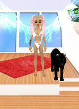 Guest_stine15