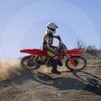 Guest_411QuadRider_disabled_10177834