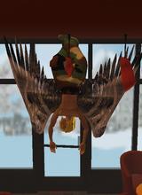 Guest_peterdragon3
