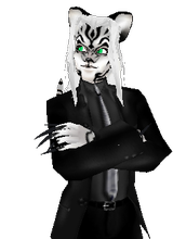 whitetiger27