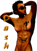 dashyguy