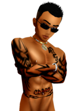 dashyguy