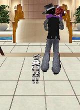 Guest_awesome27563