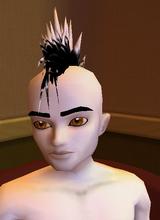 Guest_DBom