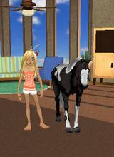 Guest_horselover712