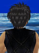 avatar picture