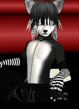 Guest_austin11111111111111