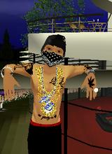 Guest_Montana82