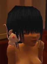 Guest_KittyCatMcFluffers