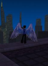 avatar picture