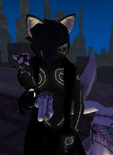 Guest_k9advantics