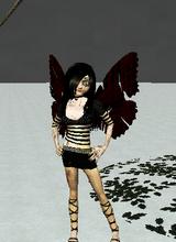 Guest_spazjuice2