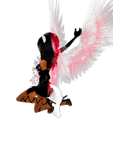 Guest_shekhmae