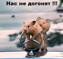 Guest_J0R1M