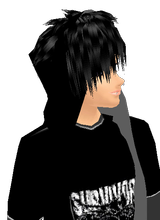 avatar picture