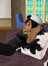 Guest_stevenash1345