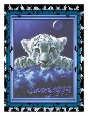 Guest_sunny1979
