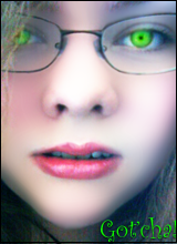 KippieDee