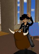 Badbullrider