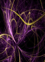 Guest_2L82cme