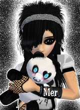Guest_Mer4