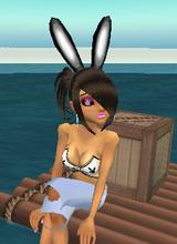 Guest_abcamy