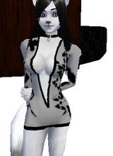 Guest_Ashly122
