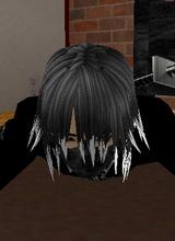 Guest_Sashabishi