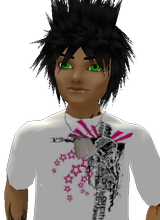 avatar picture