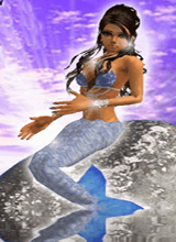 Guest_sirenuca
