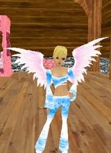 Guest_cisou