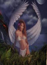 avatar picture