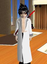 Guest_roboninja