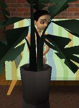 Guest_bloomsday