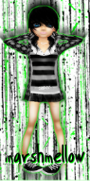 Guest_tiger1549