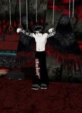 Guest_irishguy666