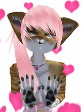 Purr
