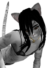 Guest_JohnnyPanda