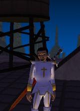 Guest_PaladinWil