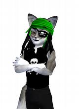 Guest_Shane3456