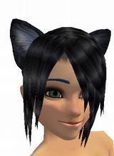 Guest_NekoChris