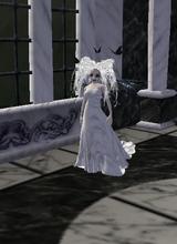 Guest_Kitty616