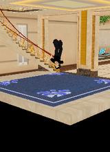 Guest_shadow12345678900