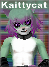 Kaittycat