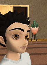Guest_Gochuseki