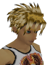 barrylink
