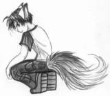 Guest_furryfox234