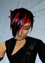 Guest_Cody5678