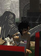 Guest_333Destiny333