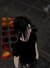 Guest_armando2242
